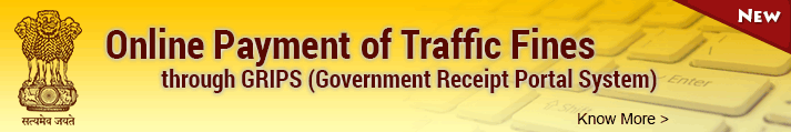 Online Traffic Fine Payments via GRIPS